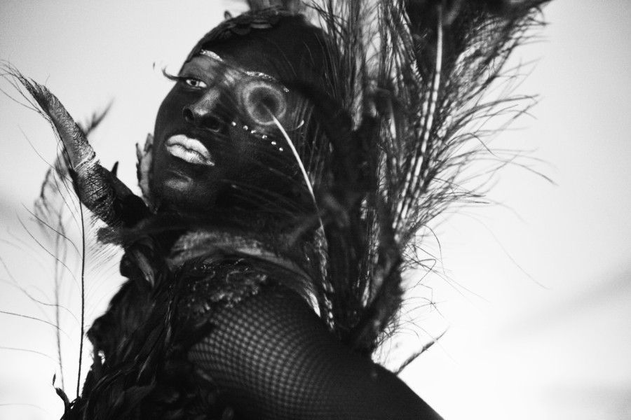 Photo en noir et blanc. Portrait d'un.e artiste habillé.e de plumes dans le style voguing Photo en noir et blanc. Portrait d'un.e artiste habillé.e de plumes dans le style voguing