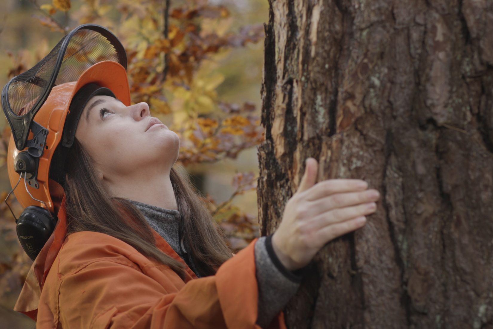 une femme portant un casque de protection, prend un tronc d'arbre entre ses mains et regarde vers la cime.