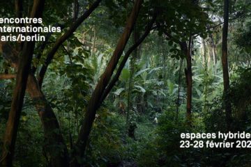 Paris Berlin Le visuel du festival montrant une forêt
