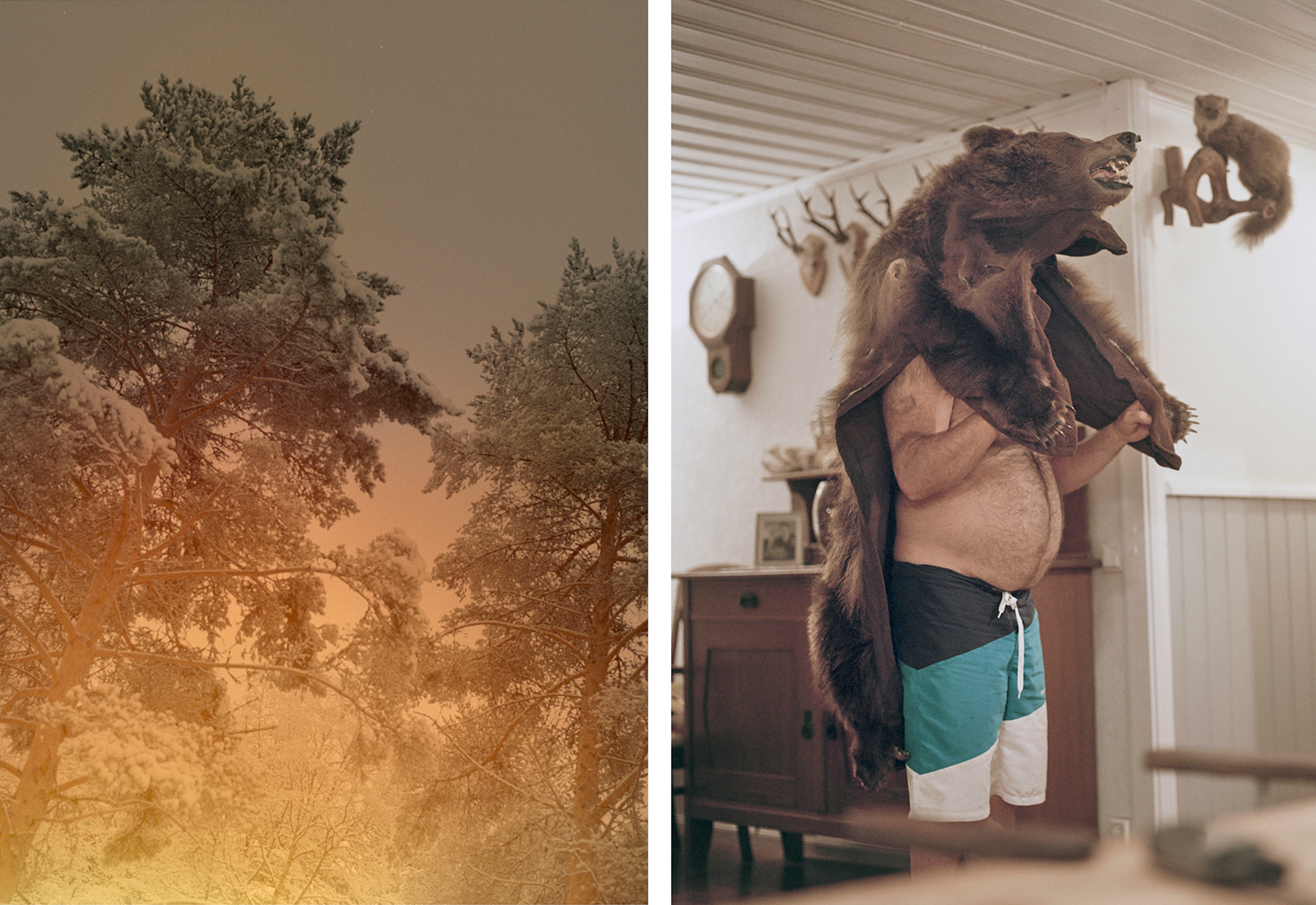 Un collage de deux photos. A gauche un arbre en feu et à droite un homme qui porte un ours en ferrure sur la tête