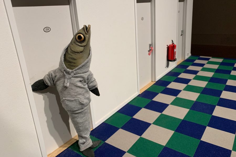 In a miniature decor, a fish dressed in a jogging suit is about to go into its hotel room.