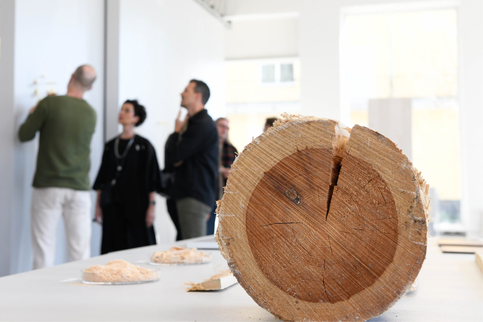 A tree trunk and different wooden prototypes are set on a table and people are discussing in the background.