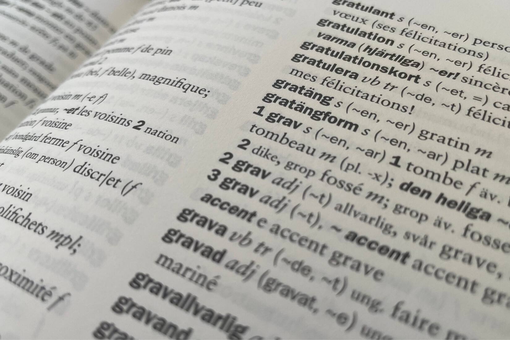 Photo d'une page de dictionnaire français-suédois comportant le mot "gratäng".