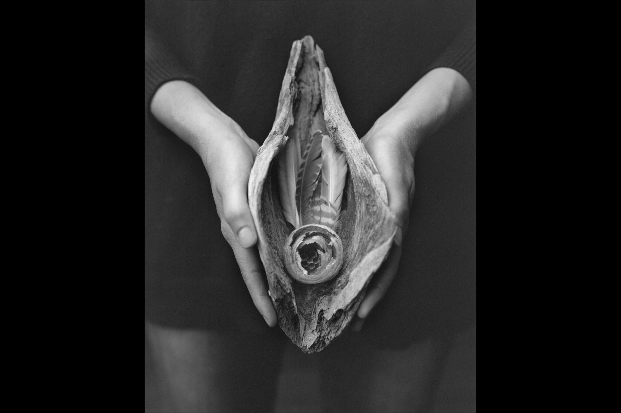 Photo en noir et blanc montrant deux mains tenant quelque chose qui ressemble à un oiseau mort.
