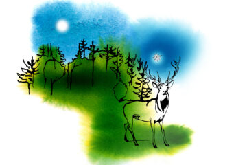 Drawing representing a deer on the verge of a forest, under a nightblue sky.