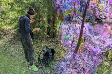 Photo de l'artiste tentant de capter des sons à l'aide d'un appareil dans la forêt.