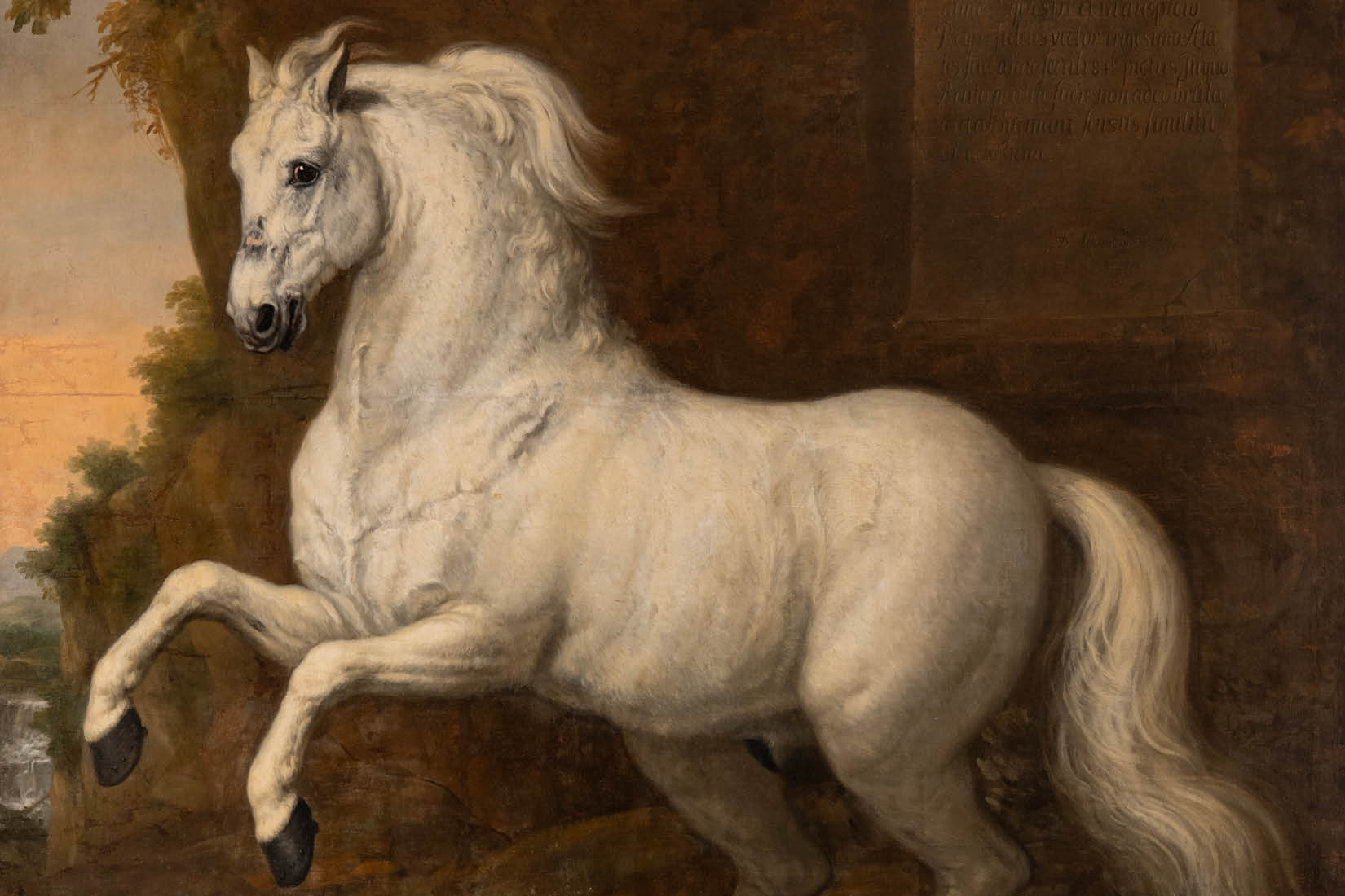 Peinture d'un cheval blanc qui se cabre.