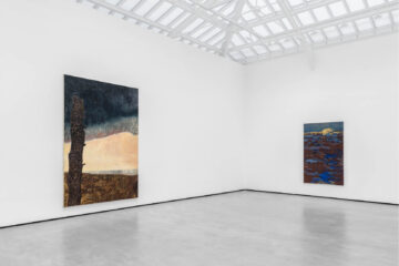 œuvres de Mamma Andersson dans une galerie