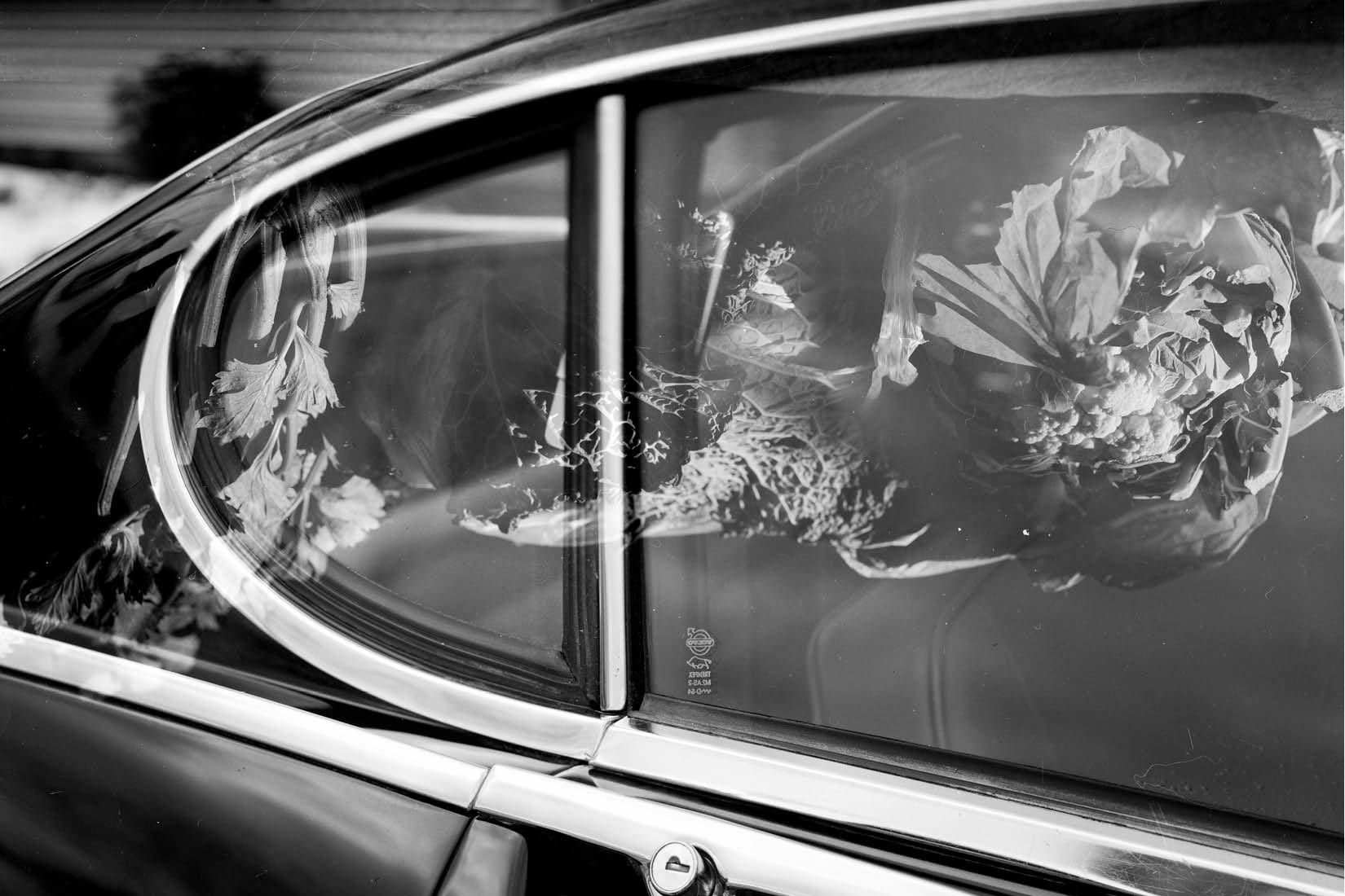 Photographie argentique : une laitue dans une voiture