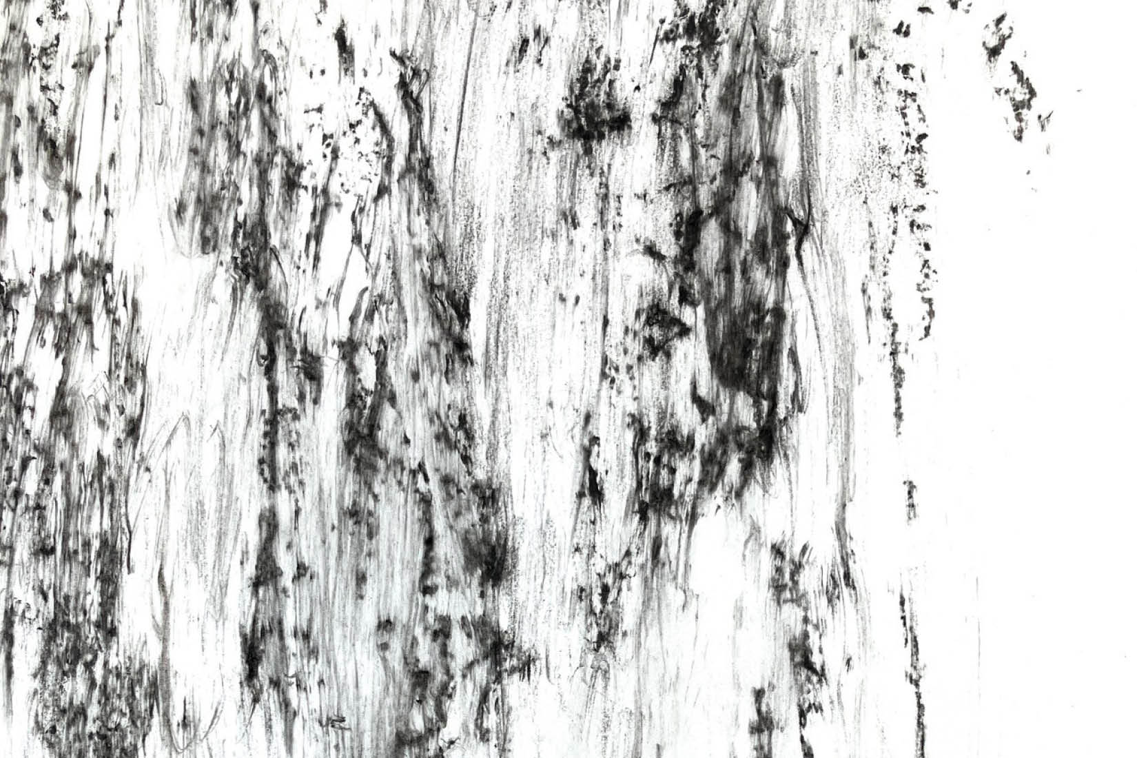 Dessin en noir et blanc qui évoque un tronc d'arbre.